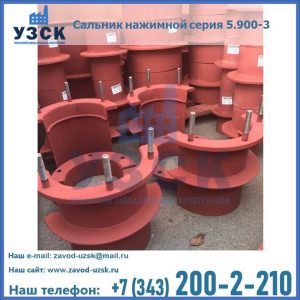 Сальники нажимные серия 5.900-3 в Новошахтинске